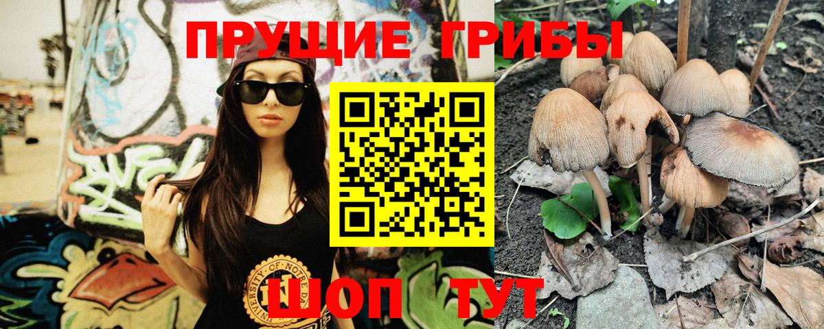 Богородск  Галлюциногенные грибы мухоморы  закладка  Галлюциногенные грибы MAGIC MUSHROOMS  Вход с VPN 